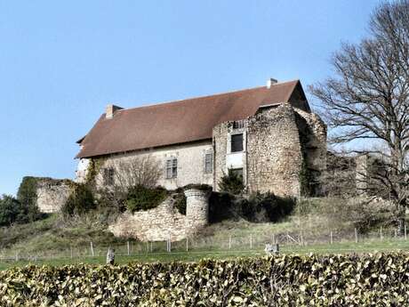 Vieux Château à Vicq sur Breuilh