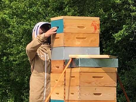 Arts Abeilles Apiculture - Haras des Star : miel et produits de la ruche