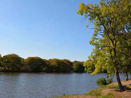 Etang communal de Saint Barbant