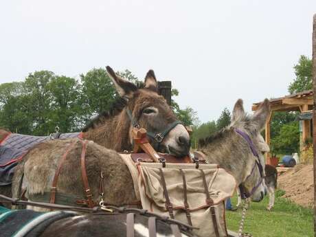 Les Sabots du Mas Massou