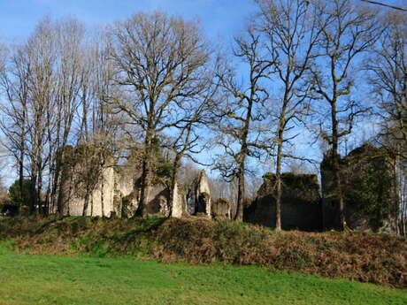 Château de Lavauguyon