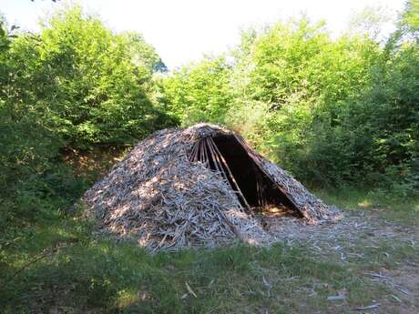 Cabane de feuillardiers de la forêt de Boubon