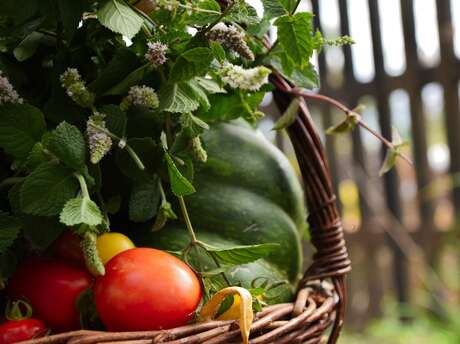 Légumes bio de la Ferme de la Salamandre