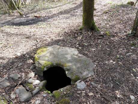 Fontaine Font Couvé à Champagnac la Rivière