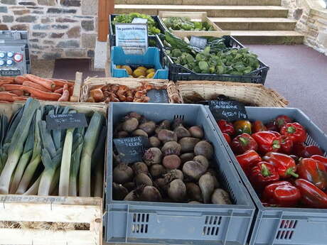 Légumes bio de l’association maraîchère "Le Comptoir Fraternel"