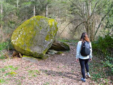 Circuit du dolmen de la Goupillère