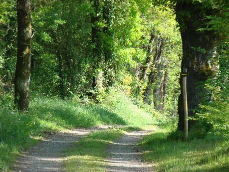 Circuit des rives de la Charente