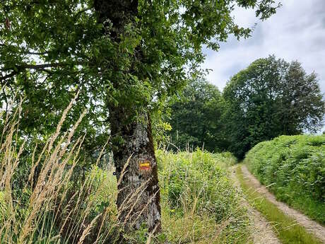 GRP®Monts et Barrages en Limousin - Boucle Entre Combade et Briance