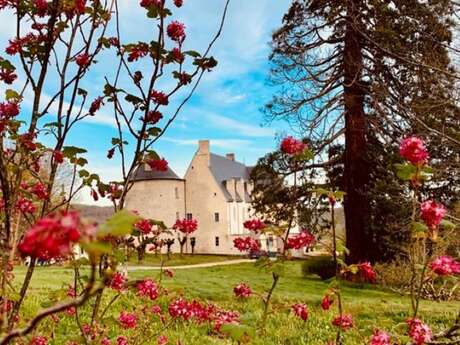 Château du Chambon