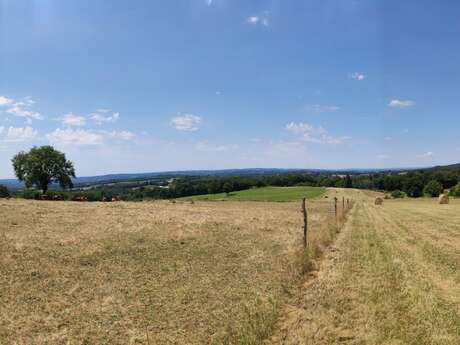 Circuit VTT n°4 De Champnétery aux monts d’Auriat