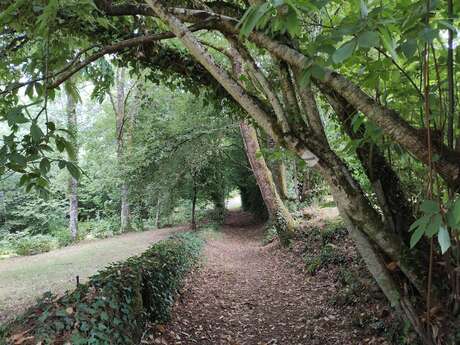 GRP® Monts et Barrages en Limousin - Etape 3 - De Saint-Julien-le-Petit au lac de Vassivière (Auphelle)