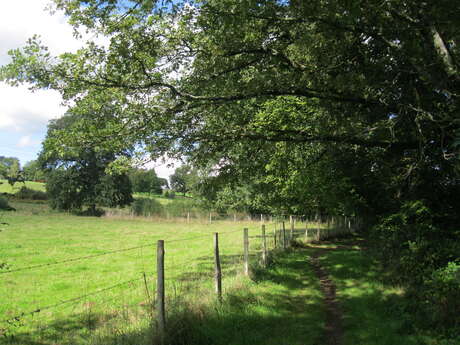 Sentier des trois ruisseaux