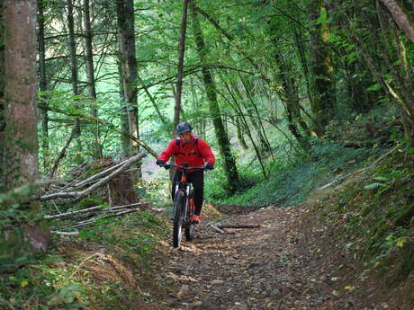 Le Val de Vienne Tour - Grande Boucle de VTT