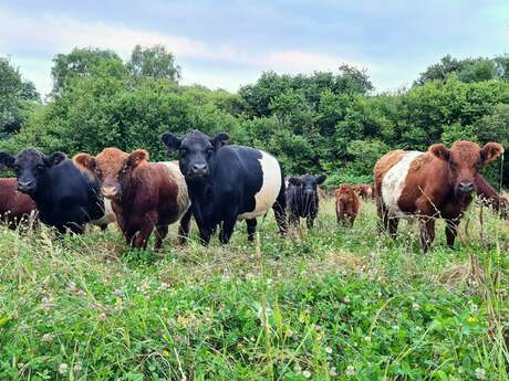 La ferme des Chantouroux