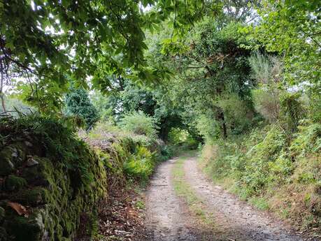 GR®de Pays Monts et Barrages en Limousin – Boucle Entre Combade et Briance – Variante d’Eymoutiers - Étape 1 - Eymoutiers à Sussac