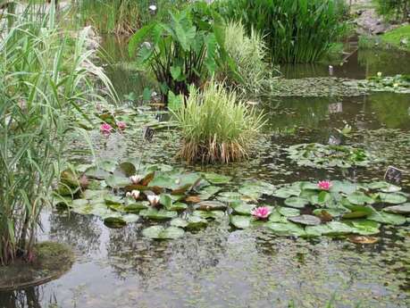 Jardin du parc de Féériland