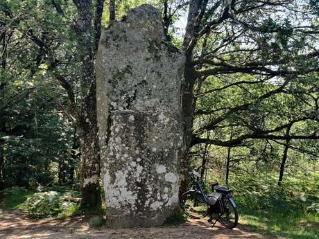 Circuit à vélo de Oradour-sur-Glane à Mortemart