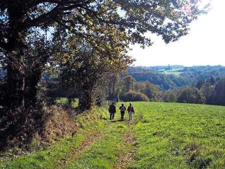 Sentier Boucle du Parleur