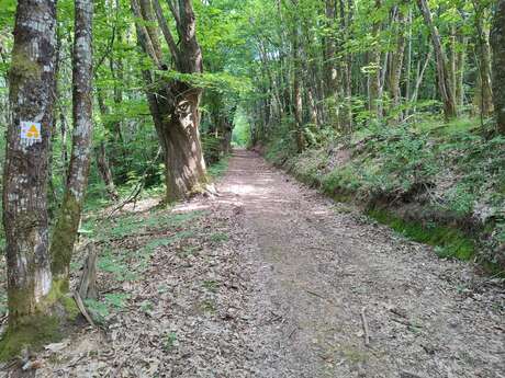 Circuit VTT n°6 Autour des monts d’Auriat