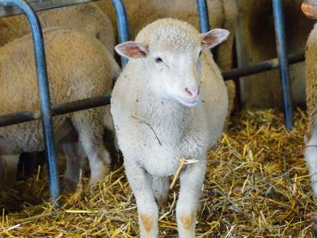 La Ferme des Feuillardiers