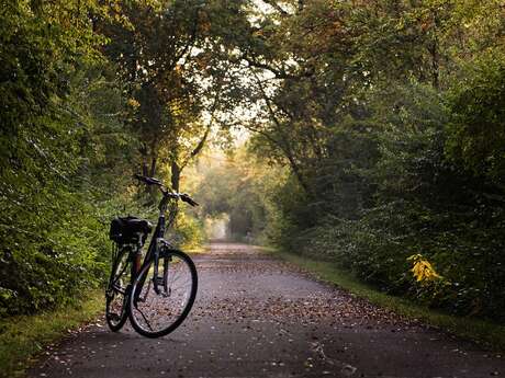 Bella'Cycles - Location de vélos à assistance éléctrique