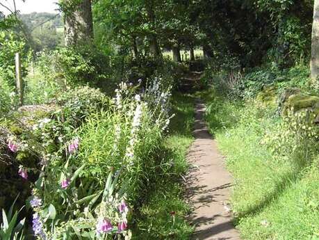 Chemin de l'Osmonde Royale (équestre)