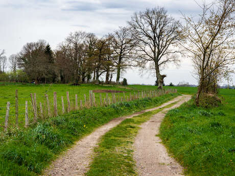 Sentier des aurieres