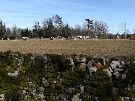 Sentier de Muret