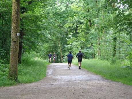 Bois de la Bastide