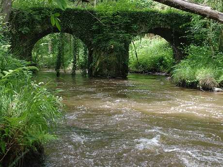 Moulin du Pont