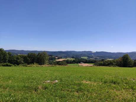 Le circuit du Puy Pointu