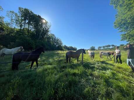 Equitation, balades - Académie des Arts Chevaleresques