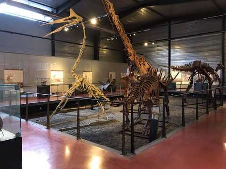 MUSÉE DES DINOSAURES