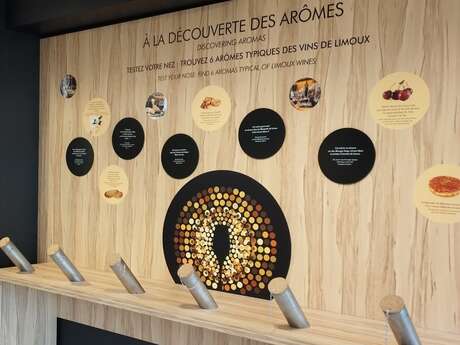 VES - VIVEZ L’EXPÉRIENCE MAISON DES VINS