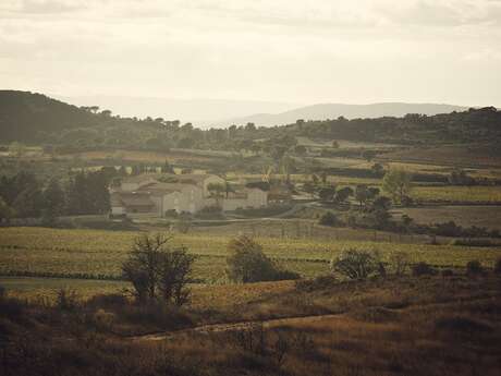 DOMAINE D'AUSSIÈRES