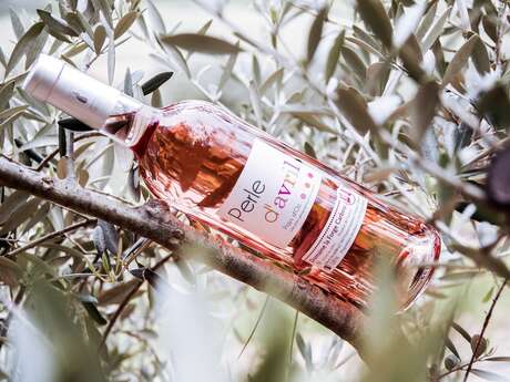 DOMAINE LA FORGE CARBOU