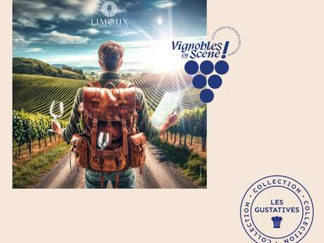 PARCOURS ENFANT À LA MAISON DES VINS DE LIMOUX