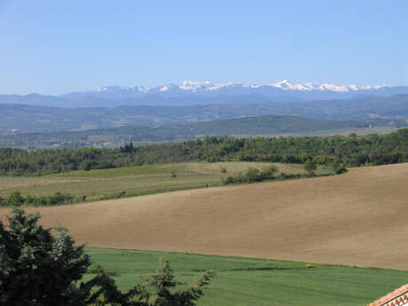 DOMAINE DE GRANET - MALEPERE