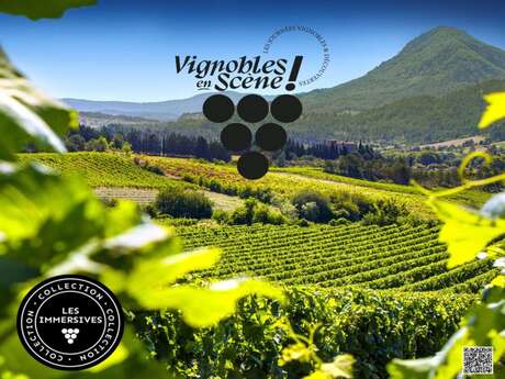 VES - ACCUEIL VIGNERON