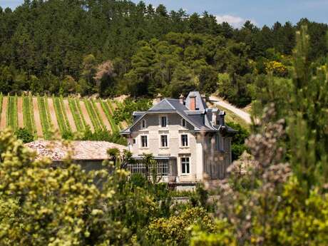 DOMAINE BARONARQUES : VISITE TERROIR