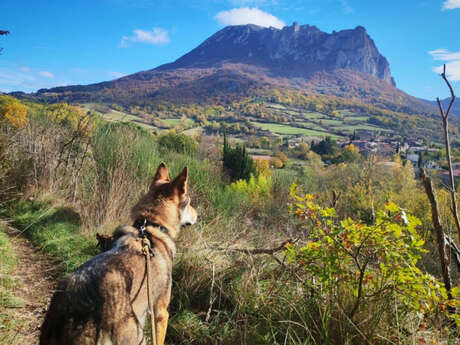 WOLF SIDE DAVID FRAGAPANE