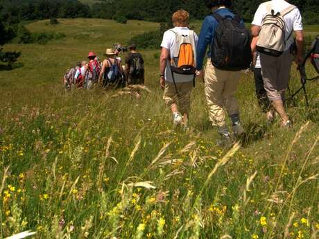 BALADE BOTANIQUE EN MALEPÈRE