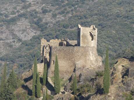 LES QUATRE CHÂTEAUX DE LASTOURS