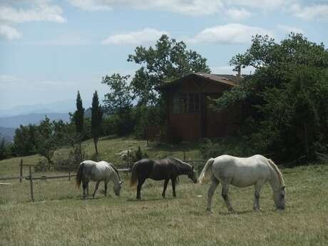 LES BAILLESSATS - CHALET