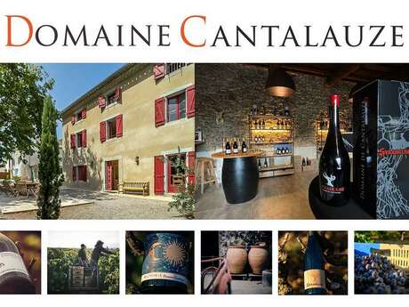 DOMAINE DE CANTALAUZE