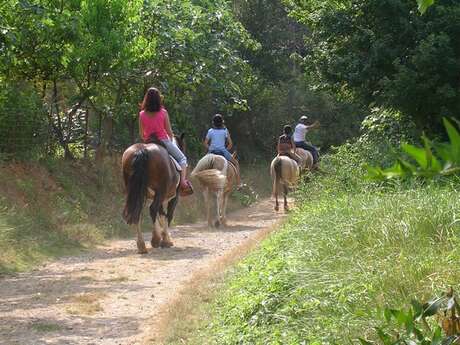 LE CHEVAL N'ARQUOIS