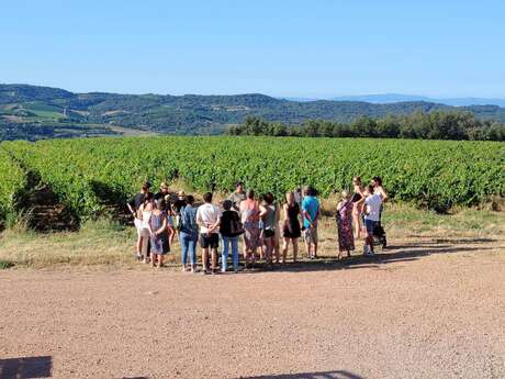 OPEN CAVES 2025 - APÉRITIF FERMIER - DOMAINE DE FOURN
