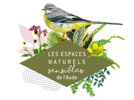 ENS - QUI SIFFLOTE AU BORD DU FLEUVE ?