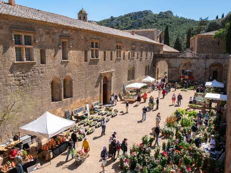 20ÈME FÊTE DES PLANTES ET DU MASSIF