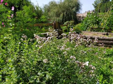 RENDEZ-VOUS AUX JARDINS